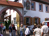 Weingut Marienhof